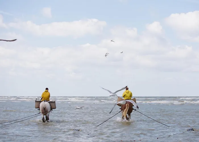 Near Belgian Coast With Terrace *