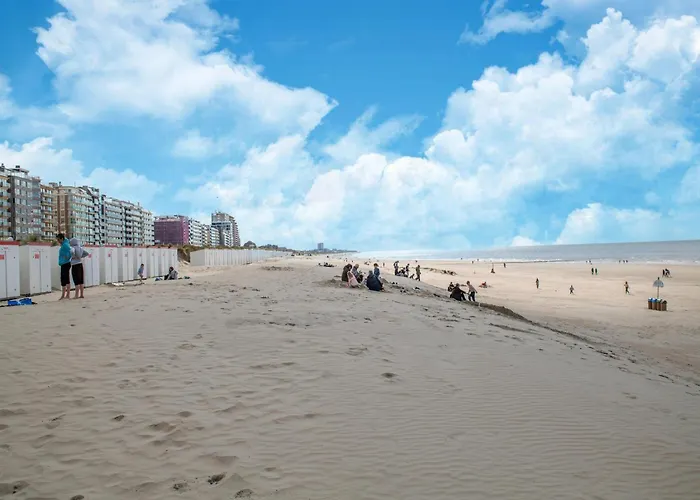 Near Belgian Coast With Terrace 아파트